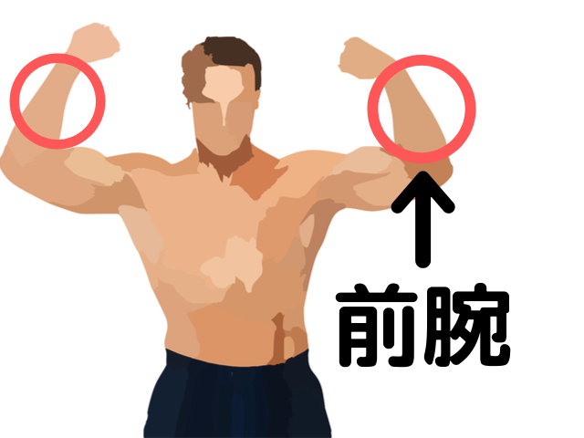 筋肉をアピールする男性のイラスト画像