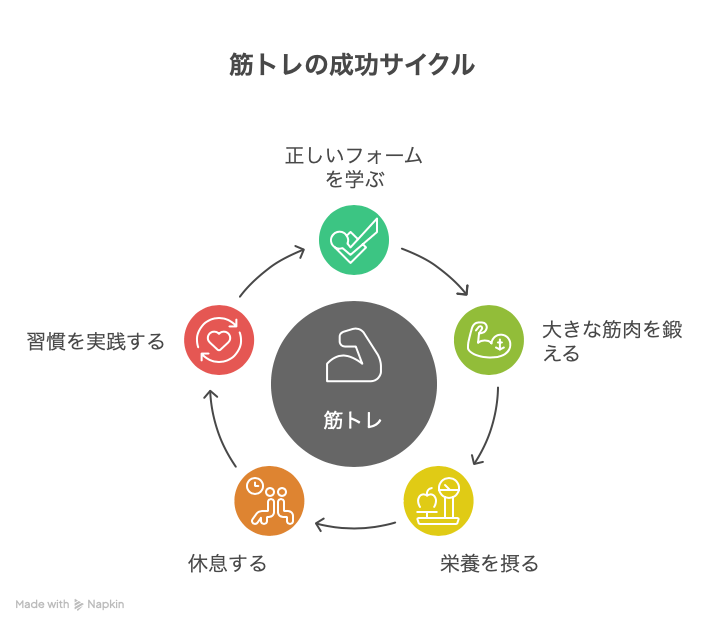 筋トレの成功サイクルをわかりやすく解説した画像